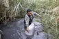 همراه با نگهبانان تالاب