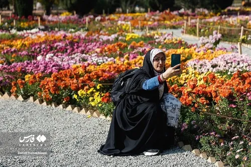 جشنوارۀ گل&zwnj;های داوودی در تهران