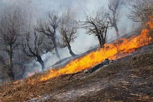 ۱۰ هکتار از مراتع درگز در آتش سوخت