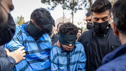مجلس پیگر قتل دانشجوی دانشگاه تهران است