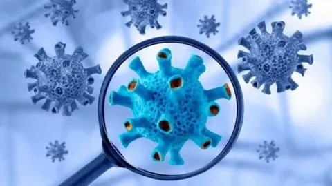مینو محرز: کرونا در حال افزایش است