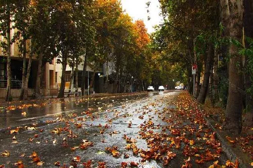 لحظات زیبا از برف امروز تهران + فیلم