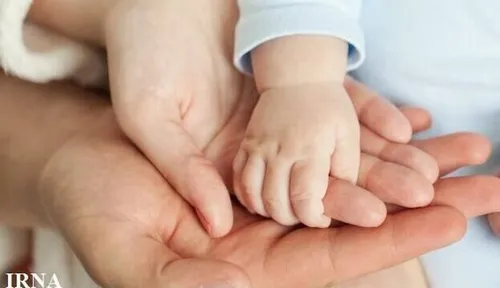 بالا گرفتن رقابت برای زایمان