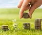 سطح تورم در بسیاری از اقتصادها کاهش یافته؟