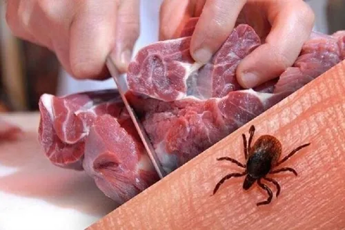 یک شهروند زاهدانی با علائم بیماری کنگو فوت کرد