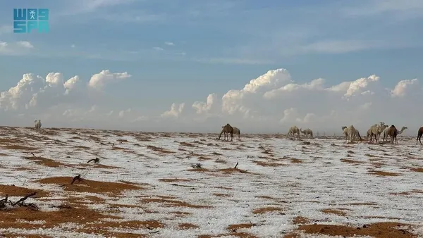 بارش تگرگ و برف در عربستان