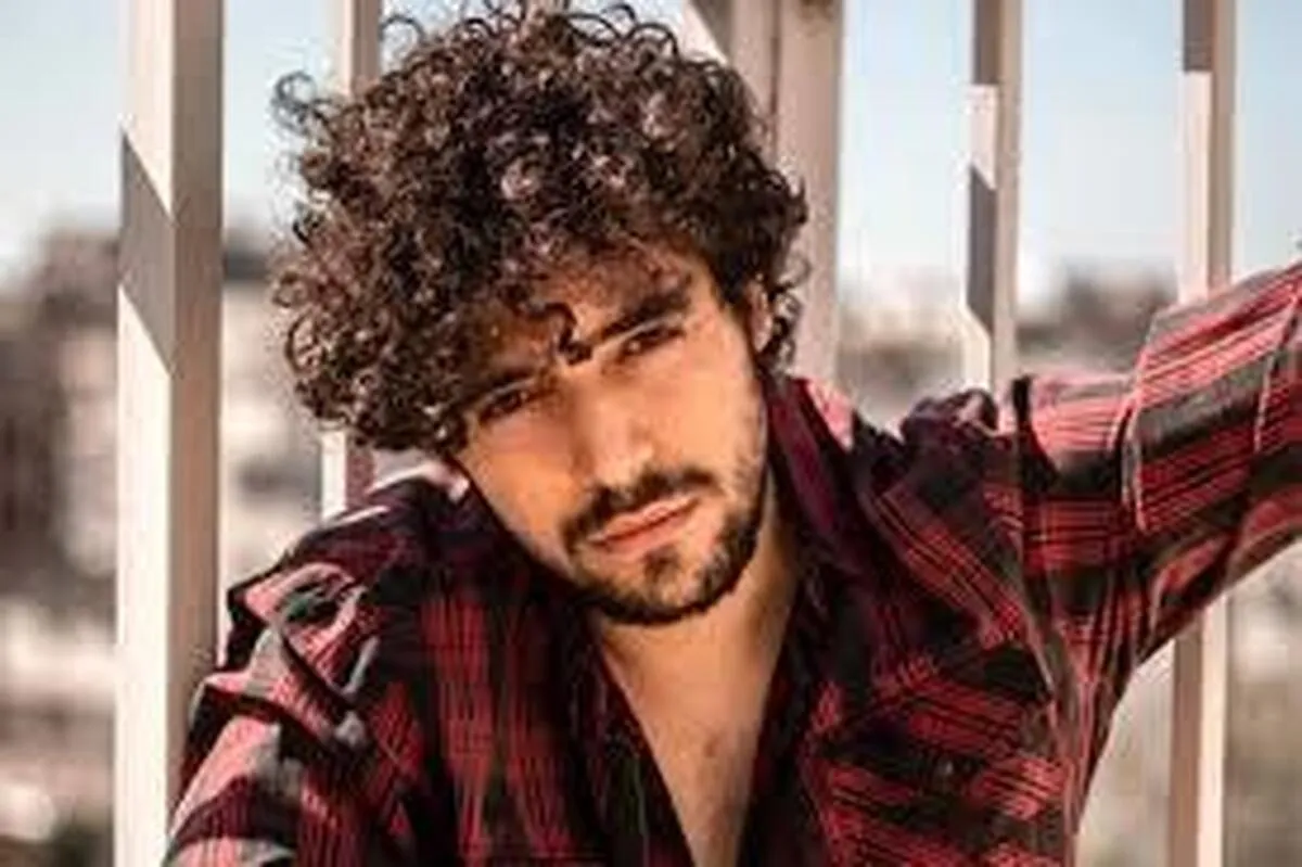 ابتکار خواستار توقف اجرای حکم شروین حاجی پور شد