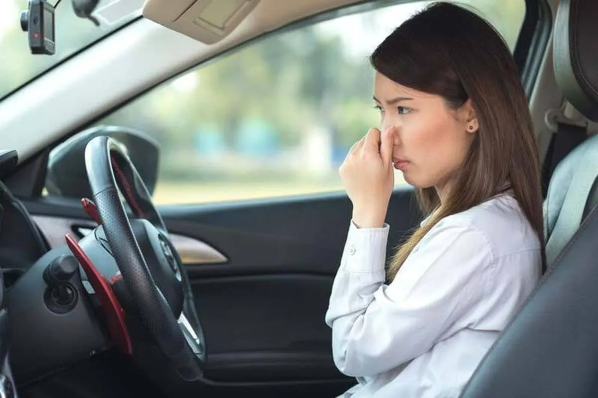 از بوی نویی خودرو لذت می‌برید؟