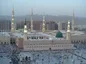 هجوم باورنکردنی ملخ ها به مدینه منوره+ فیلم
