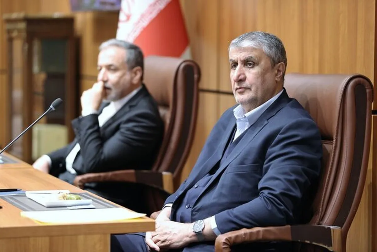 سازمان انرژی اتمی و وزارت امور خارجه ید واحده هستند