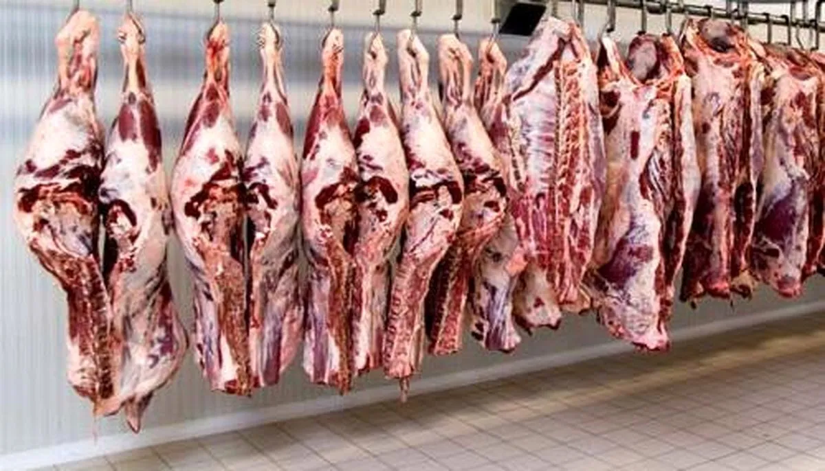 نیازی به واردات گوشت قرمز نداریم