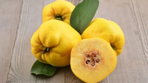 فیلمی از یک مزرعه پرورش عقرب در چین