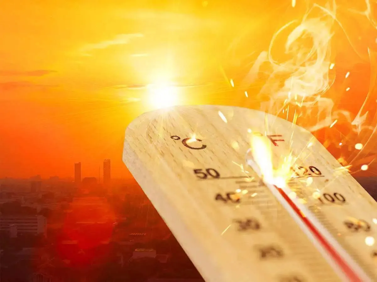 خطرات کاهش سطح املاح در بدن