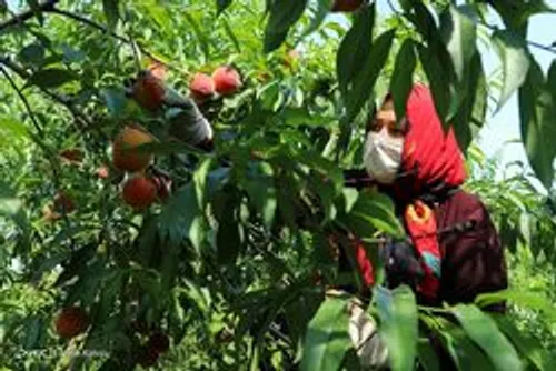 عکس/ نمایی از ‏ارتفاعات جهان نما، گلستان