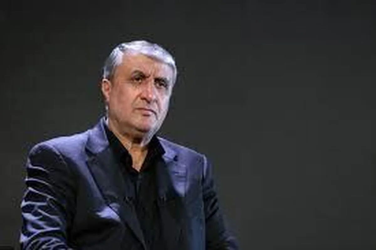 اسلامی: توافق شود بازرسان آمریکایی هم می‌توانند تشریف بیاورند!