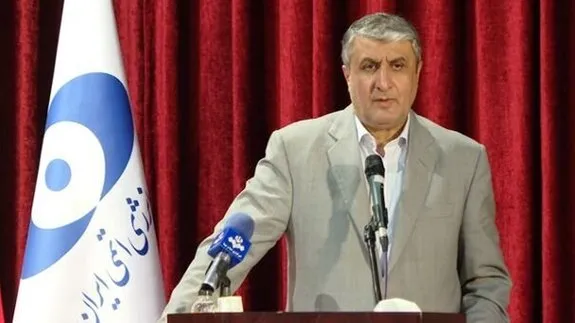 همکاری رئیس سازمان انرژی اتمی با عربستان