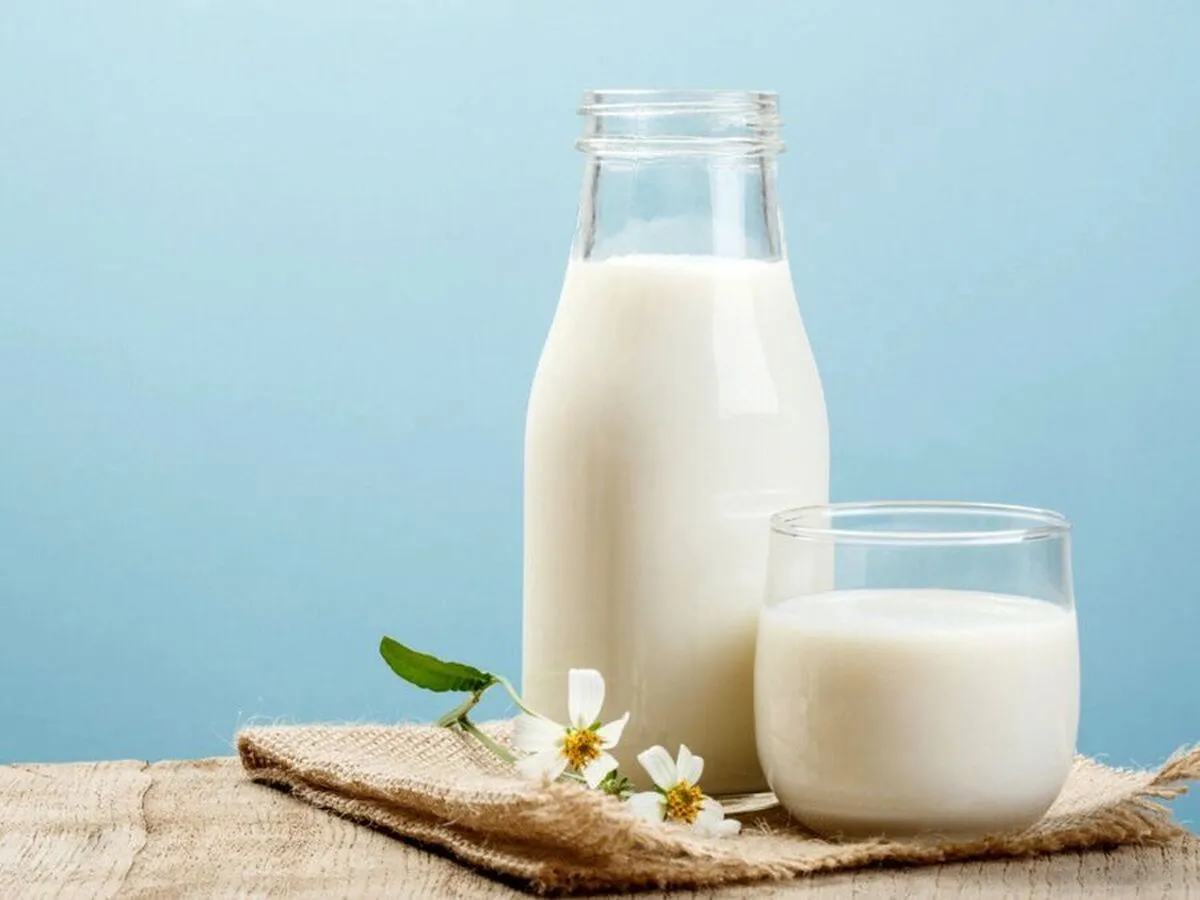 بهترین زمان نوشیدن شیر برای کاهش وزن