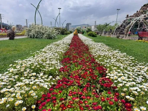 جشنوارۀ گل‌های داوودی در تهران