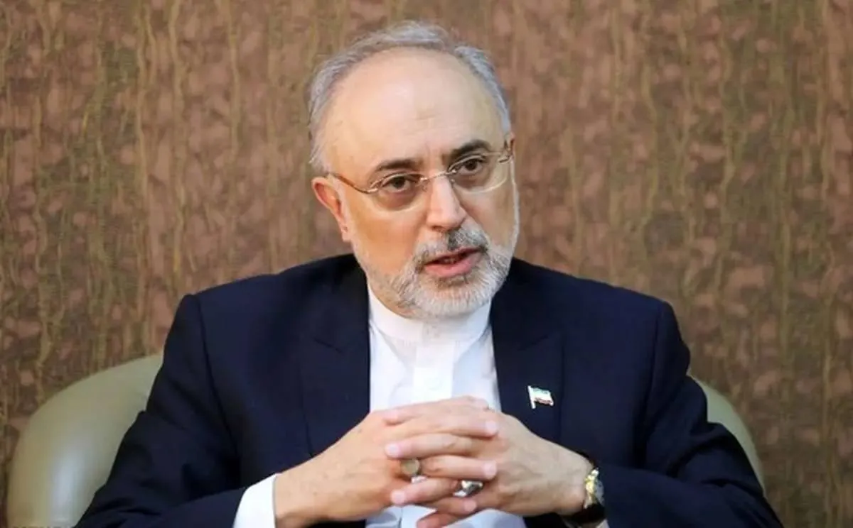 علی اکبر صالحی:امکان درگیری آمریکا با ایران را بسیار ضعیف می‌بینم