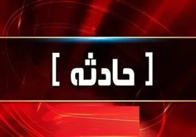 حمله وحشیانه یک سگ بولداگ به خانم کارآفرین در خیابان! + فیلم